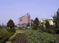 緑に囲まれる昭島市役所