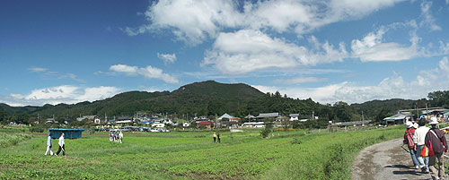 巾着田から見た日和田山（山頂から少し左下にある茶色の点が金刀比羅神社の場所です）