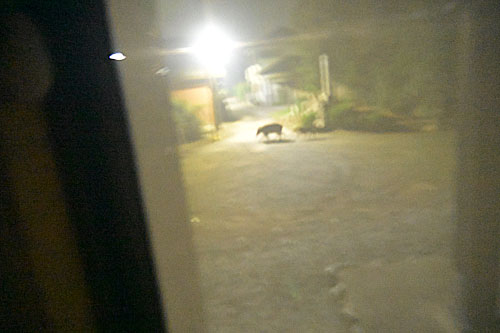 �钆�̂Q���߂��ł�