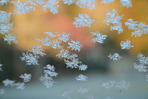 ���ɓ_�X�ƍL�����Ă��܂���