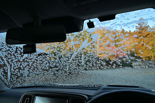 �S�̂ł͂���Ȋ����ł�