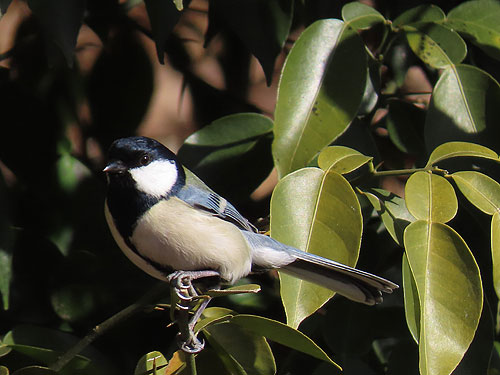 �쒹�����͍��������C�ɔ�щ���Ă��܂�